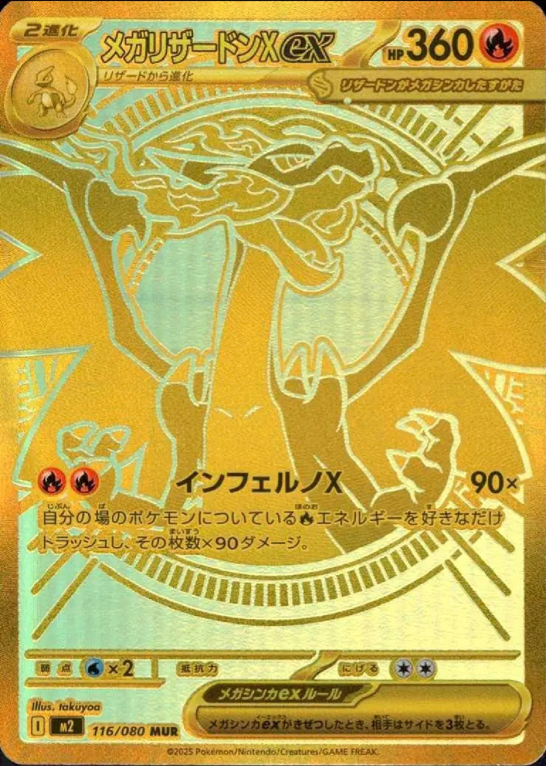 POKÉMON DISPLAY INFERNO X
