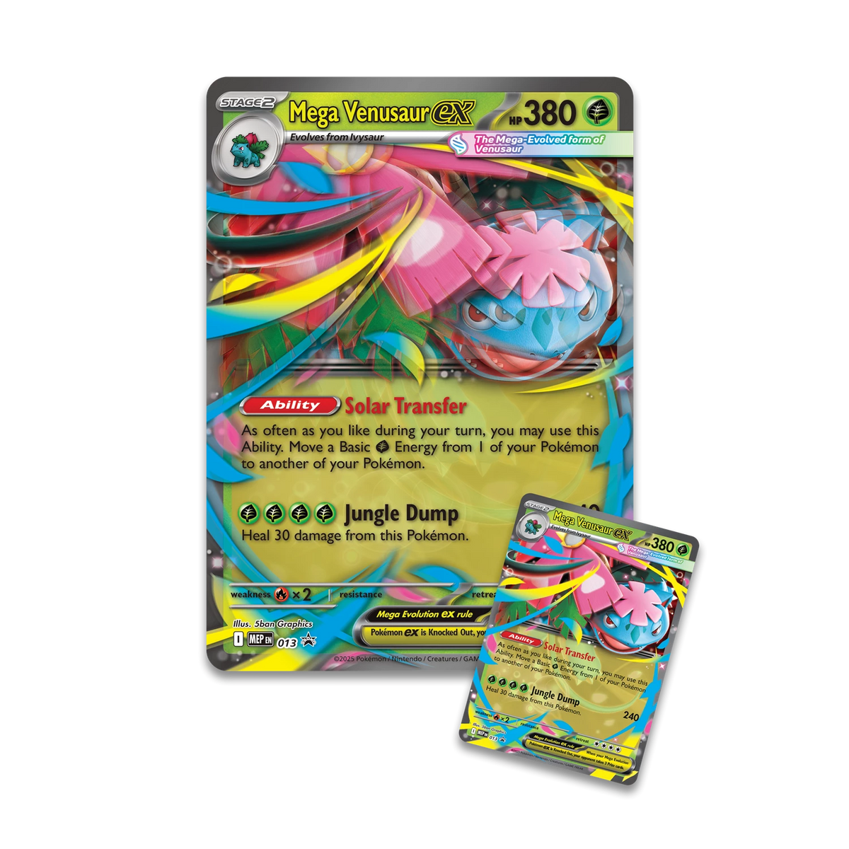 POKÉMON PREMIUM COLLECTION: VENUSAUR EX -EN-
