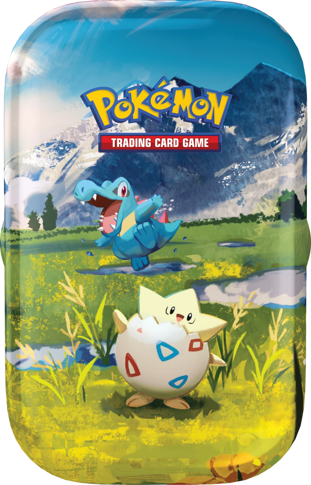 POKÉMON MINITIN MEGA EVOLUTION: ASCENDED HEROES -FR-