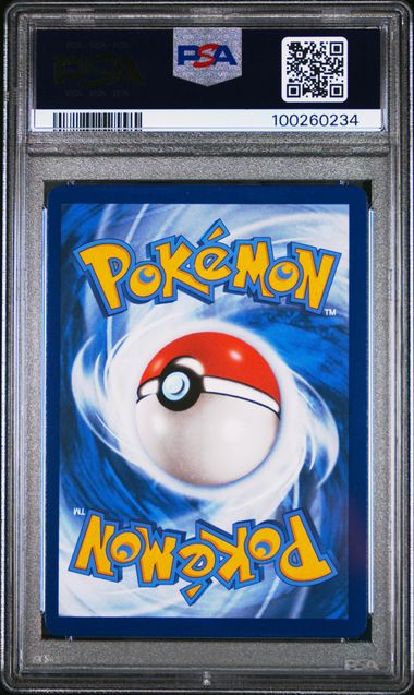2023 LUCARIO VSTAR #291 - PSA 10